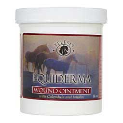 Wound Ointment for Horses  Equiderma